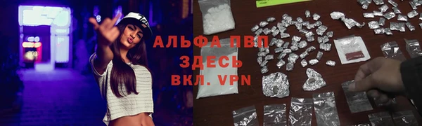 тгк Магас